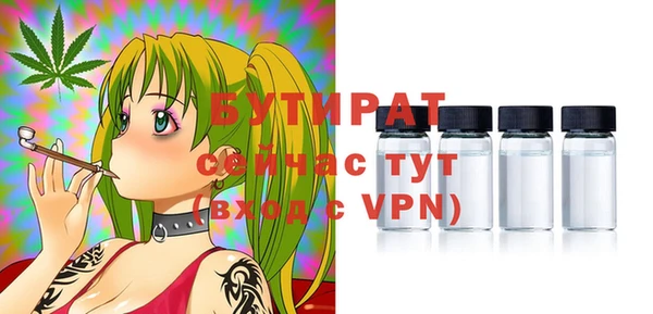 амф Вяземский