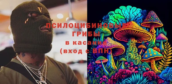 амф Вяземский