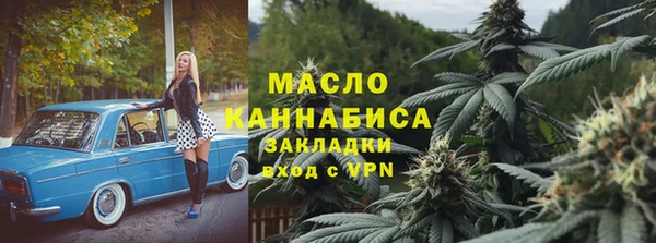 амф Вяземский