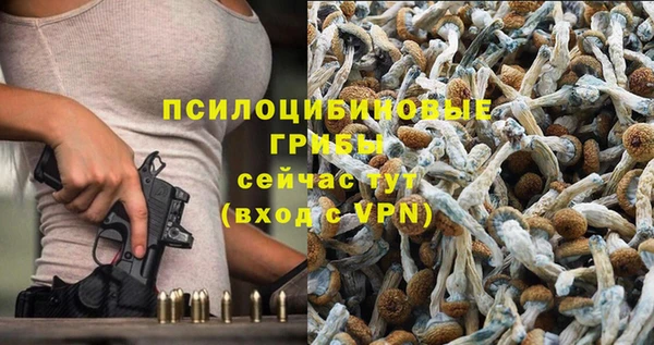 круглые Вязники