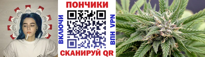 Бошки Шишки Bruce Banner  купить закладку  Липецк 